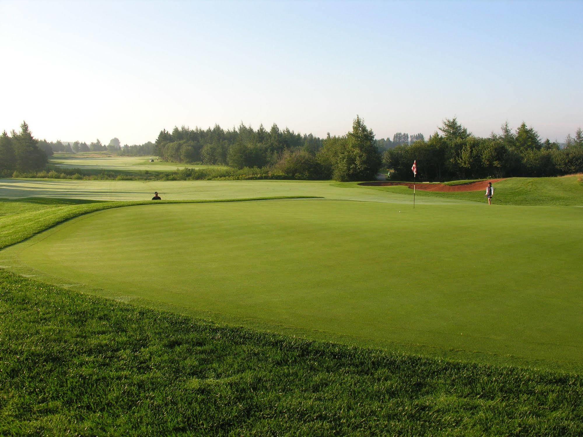 Rodd Brudenell River 4*